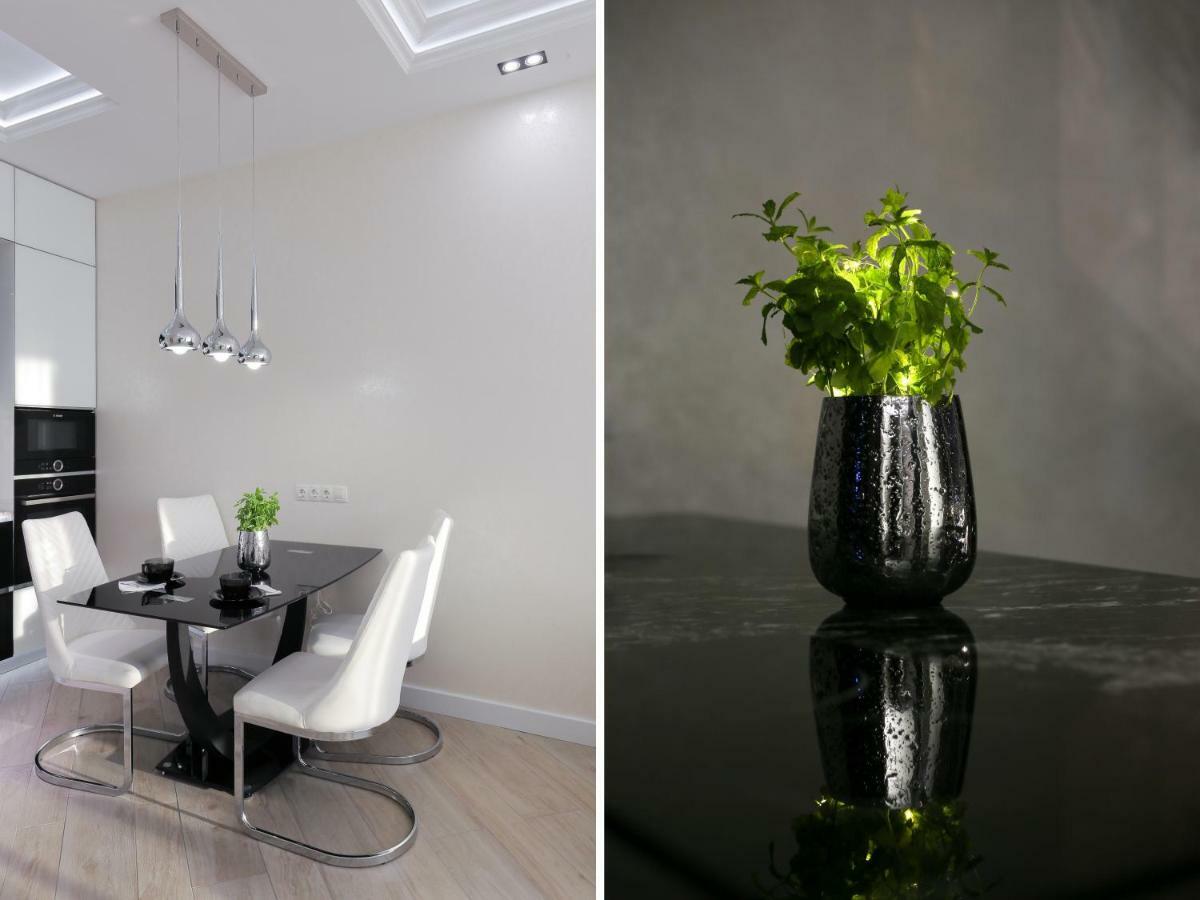 Black&White Apartment In Smart Plaza Κίεβο Εξωτερικό φωτογραφία